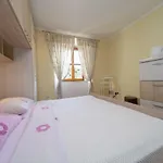 Stara Kuca